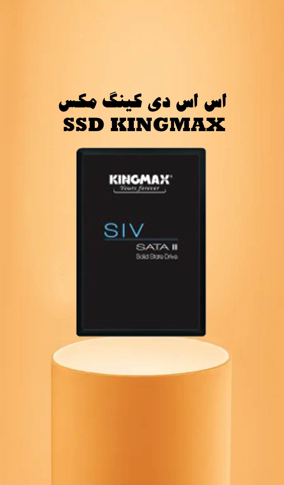 SSD KINGMAX